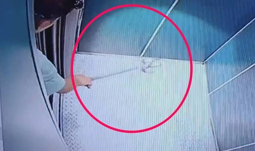 電梯裡有蛇從住戶身上掉落，監視器追出真相都驚了。圖／楊姓主委提供
