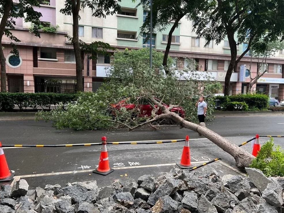 台中市南屯區公益路二段12日下午發生一棵路樹倒塌,砸中紅色轎車,嚇壞車內2人,幸2人沒有大礙。圖/南屯區公所提供