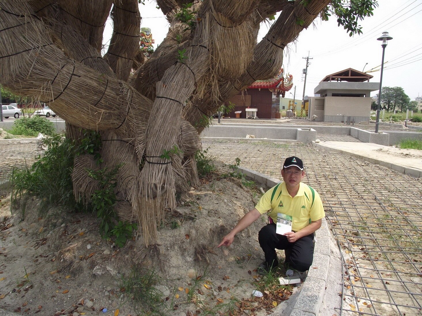 台灣愛樹保育協會會長曾檉銳說明，樹木棲地太小、不良，易有褐根病，也易有傾倒風險。記者趙容萱／攝影 