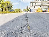 鳳山立志街龜裂未修　議員批車輪遲早卡縫