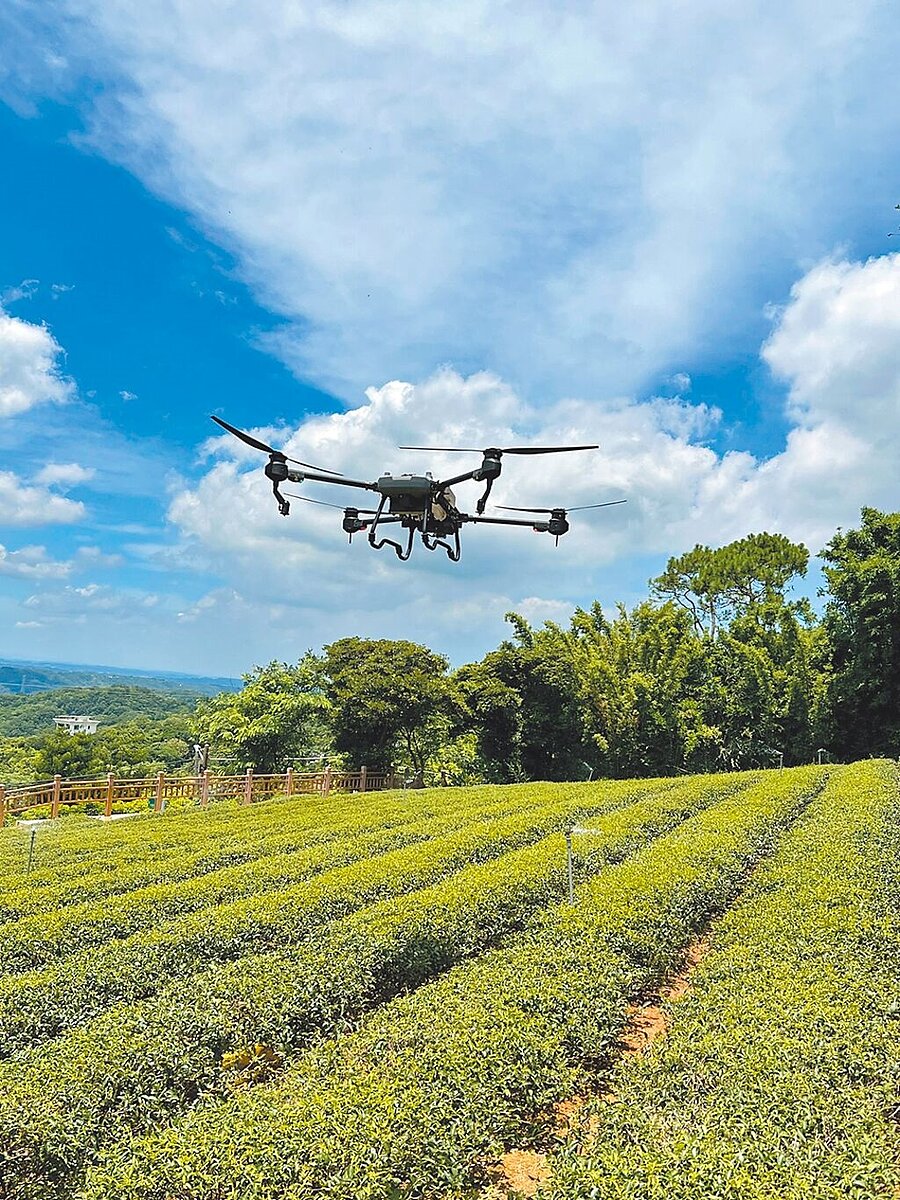 設立於楊梅埔心的茶改場總場已有超過120年歷史,是台灣茶業研究重鎮,也是北部茶區發展的核心支撐,桃園市府呼籲中央政治不得介入農業。(桃園市農業局提供/姜霏桃園傳真)