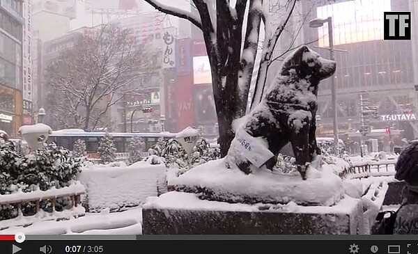 日本大雪 東京(圖/翻攝YouTube)
