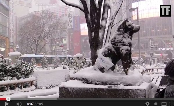 日本大雪 東京(圖／翻攝YouTube)