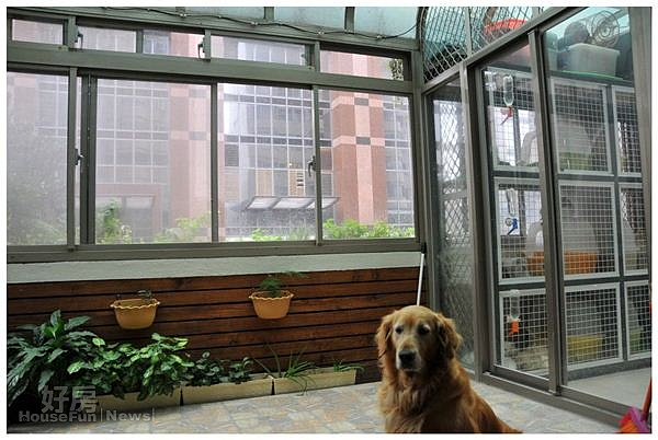 2.露台的植栽區可讓狗兒活動。
