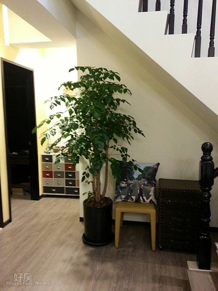 4.因為屋內採光好,隨處可見綠色植栽。