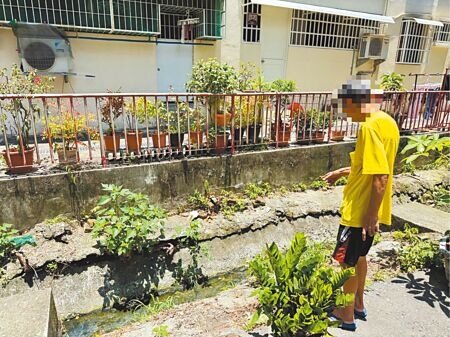 高雄鳳山區居民們指出,文華里社區內的文昌街77巷、建國路三段209巷水溝長年散發異味,盼相關單位協助改善。(紀爰攝)