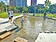 高雄藍田公園戲水池　長青苔藏危機