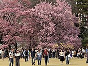 老婆太會買行李裝不下　日旅達人分享經驗