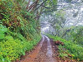 震毀1年　太魯閣大禮大同回家的路修復