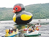 年假到花蓮　看Q版紅面鴨、藍虎鯨