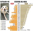砸大錢蓋收容所　卻變棄犬殺戮場