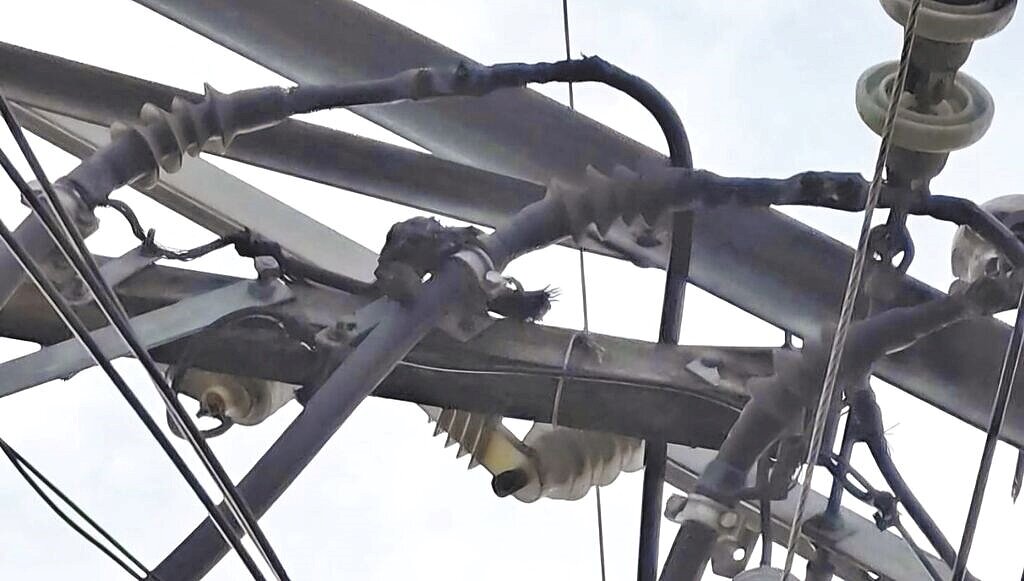 台中市后里區甲后路一段、內東路、中興街及圳寮路一帶23日凌晨5時許發生停電事故,受影響用戶共278戶,經台電人員搶修已復電。(台電提供/温予菱台中傳真)