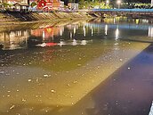 萬里瑪鋉溪漂滿雜物　海水漲潮惹禍