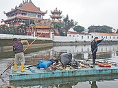 遊客順手丟　龍潭大池垃圾多