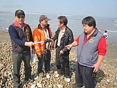 大園海邊遭油汙　重創漁民生計