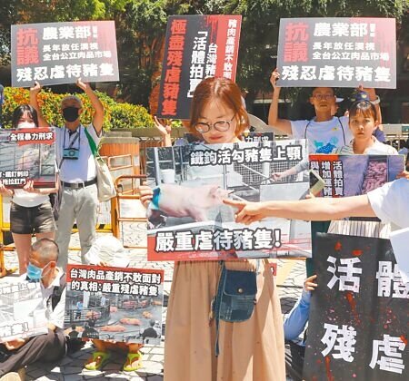 
台灣動物社會研究會等多個民間團體6月30日前往農業部抗議，揭露台灣豬隻在被屠宰前，被迫經歷暴力電擊、鞭打、鐵釘刺印、活勾上顎或不當拖拉等慘無人道的虐待折磨。（陳君瑋攝）
