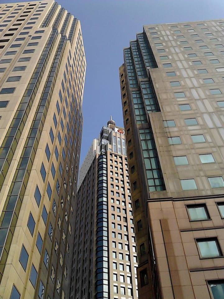 台北高樓比比皆是，都會的壓迫感，似乎也反映在「房價」上。（翻攝自網路）