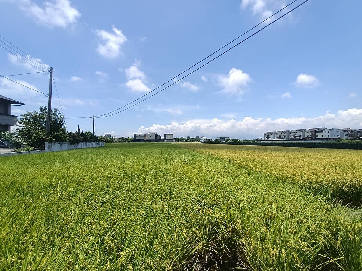為什麼宜蘭農地價格會只漲難跌?在地專家說分明。圖/好房網News記者林和謙/攝