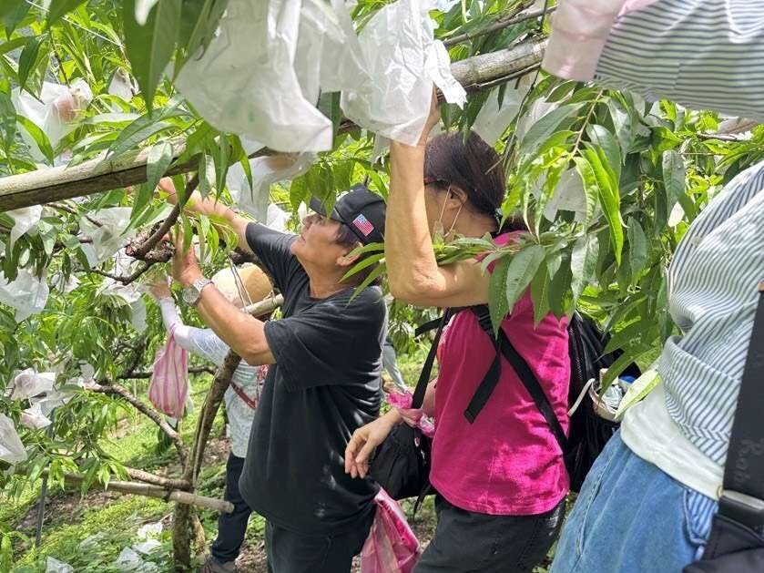 今(114)年共計推出17條特色遊程、45場次以上的活動安排。圖：風管處提供