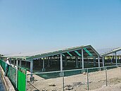 農地搭光電板　業者推光電農村