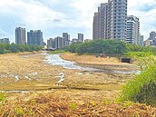 青埔永園橋　拚2027年底完工