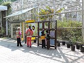 蝴蝶的祕密花園　高雄市立蝴蝶園換新裝
