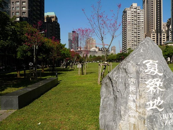 台中七期夏綠地公園 成市區賞櫻熱點