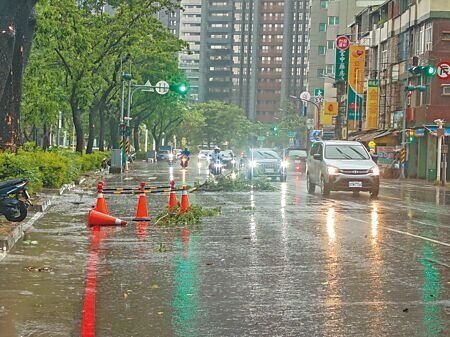 高雄6日下午風雨漸強,路上掉落零星樹枝。(任義宇攝)