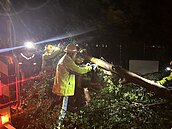 全台最慘！丹娜絲風雨釀高雄3萬戶停電　台電漏夜搶修中