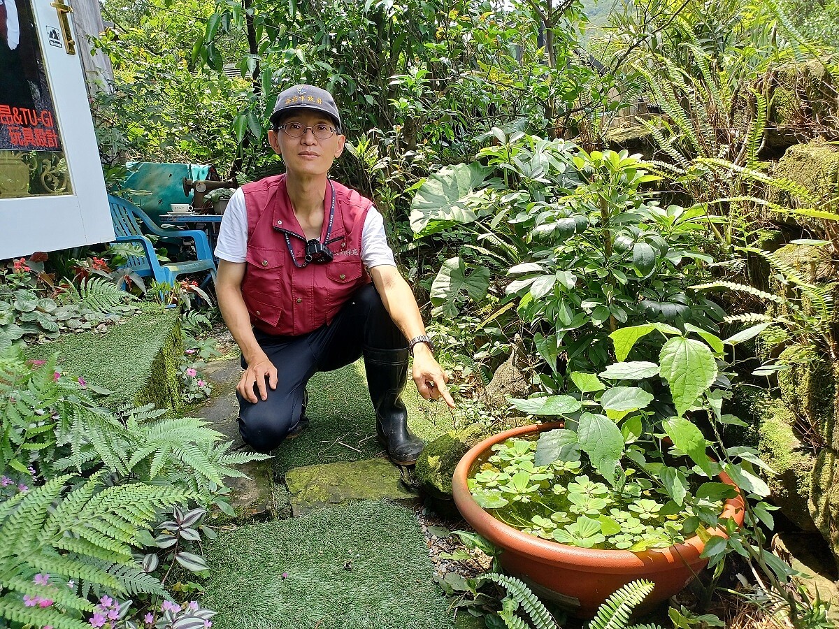 家中有毒蛇出沒!瑞芳民眾整理廚房 將龜殼花誤認繩索 民眾欲享受庭園生活就有因青蛙引來蛇類的風險。圖/新北動保處提供