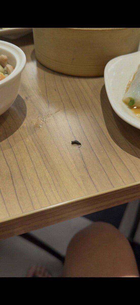 有網友在臉書社團發文,指上周一晚間到SOGO百貨新竹店的三合院店家用餐,吃著灌湯包卻「天降異物」,仔細一看竟是一粒老鼠屎。記者王駿杰/翻攝自臉書社團「新竹爆料公社」
