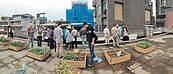 「分享空間」　你家不用的屋頂借我種菜