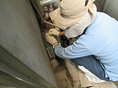 居家小心「鼠輩」　前鎮出現本土漢他病毒出血熱