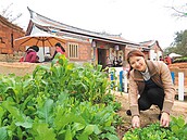 金門認養頹屋　住民宿體驗種菜