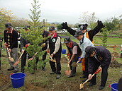 營造優質生活環境　石岡土牛運動公園植樹造林