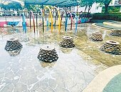 塭仔底溼地公園青苔滑人　將改善