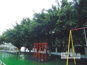 竹北國小改建校舍　「謢樹」與「護子」爭議延宕