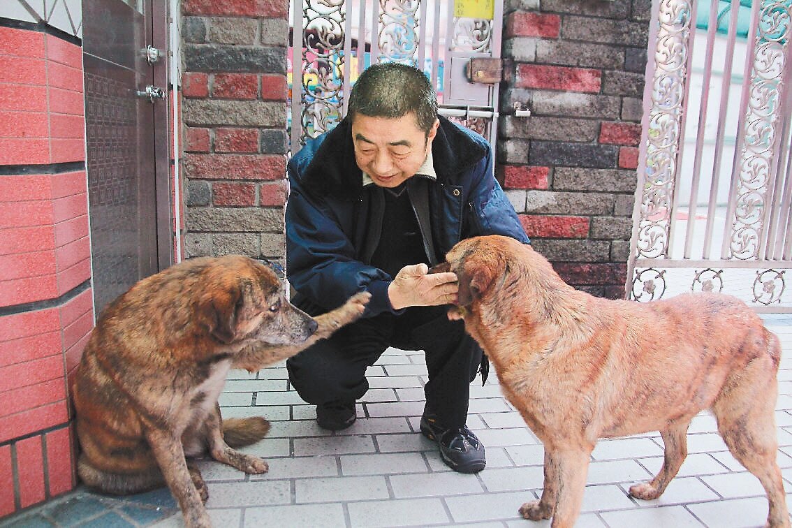 警衛張淵輝與流浪狗姊妹花情同家人。 記者周毓翔/攝影