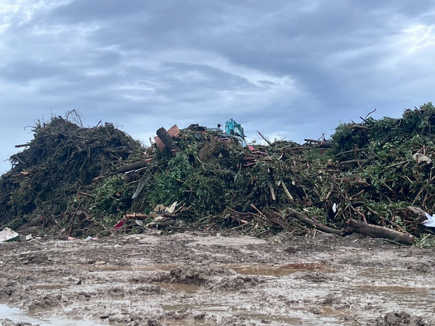 颱風倒塌與斷裂的樹木堆積如山,清除後嘉市府環保局清潔隊清運,暫時堆置市區環保空地。遠觀猶如1座廢木小山。 記者魯永明/攝影