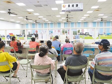 丹娜絲颱風重創雲林縣,農損金額達3.2億餘元,雲林有30多項作物符合天然災害現金救助,10日各鄉鎮市公所出現申報人潮。(張朝欣攝)