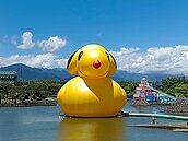 黃色小鴨之父霍夫曼來了！9日快閃宜蘭童玩節　合體新創作「史努比鴨」
