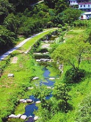 小坑溪畔沿線植生豐富，居民希望「封溪護魚」，發展多樣性生態。（截取自北市府大地處）