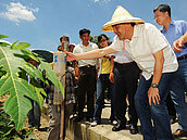 新北提倡有機農業　擬全面推廣農民市集