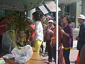 合歡山與武陵國家森林遊樂區　植樹月贈樹苗