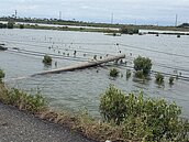 颱風襲台突停電「紅綠燈罷工中」誰先過？正確通行方式曝：違規恐罰1800元