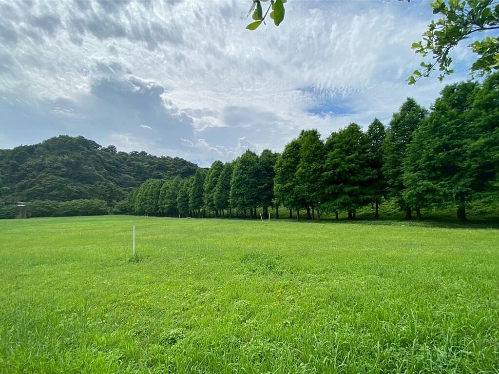 基隆市環保局推動空氣品質淨化區的補植計畫,也力邀企業及團體共同協力認養,提升基隆市的空氣品質。圖/基隆市政府提供