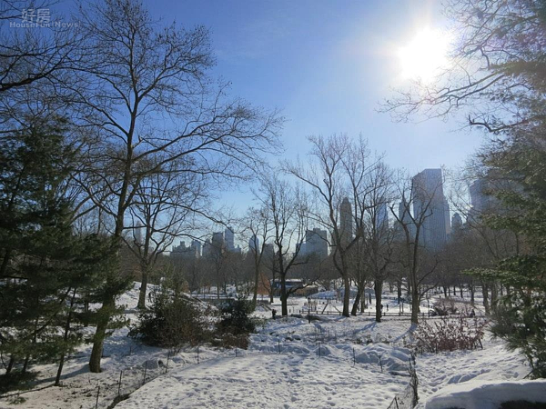 美國紐約中央公園 (好房News記者林美欣攝影)