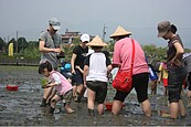 濱海區域植樹不易　台南鹽田打造綠色奇蹟