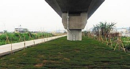 綠地美化 苑裡鎮泰和里苗43線高鐵高架橋下裸露地,最近完成空氣淨化區。(截取自苗栗縣環保局)
