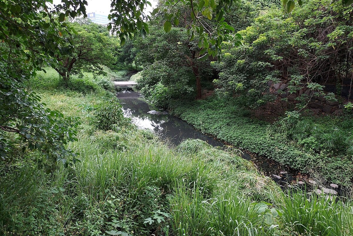 台南永康區祥合公園內排水道傳出惡臭,市府將投入850萬元改善。圖/南市水利局提供